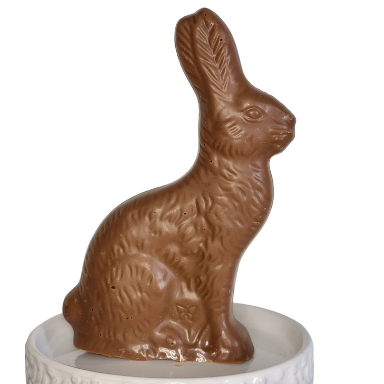 12 Ounce Solid Chocolate Bunny