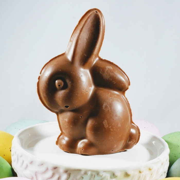 Solid Sitting Chocolate Bunny