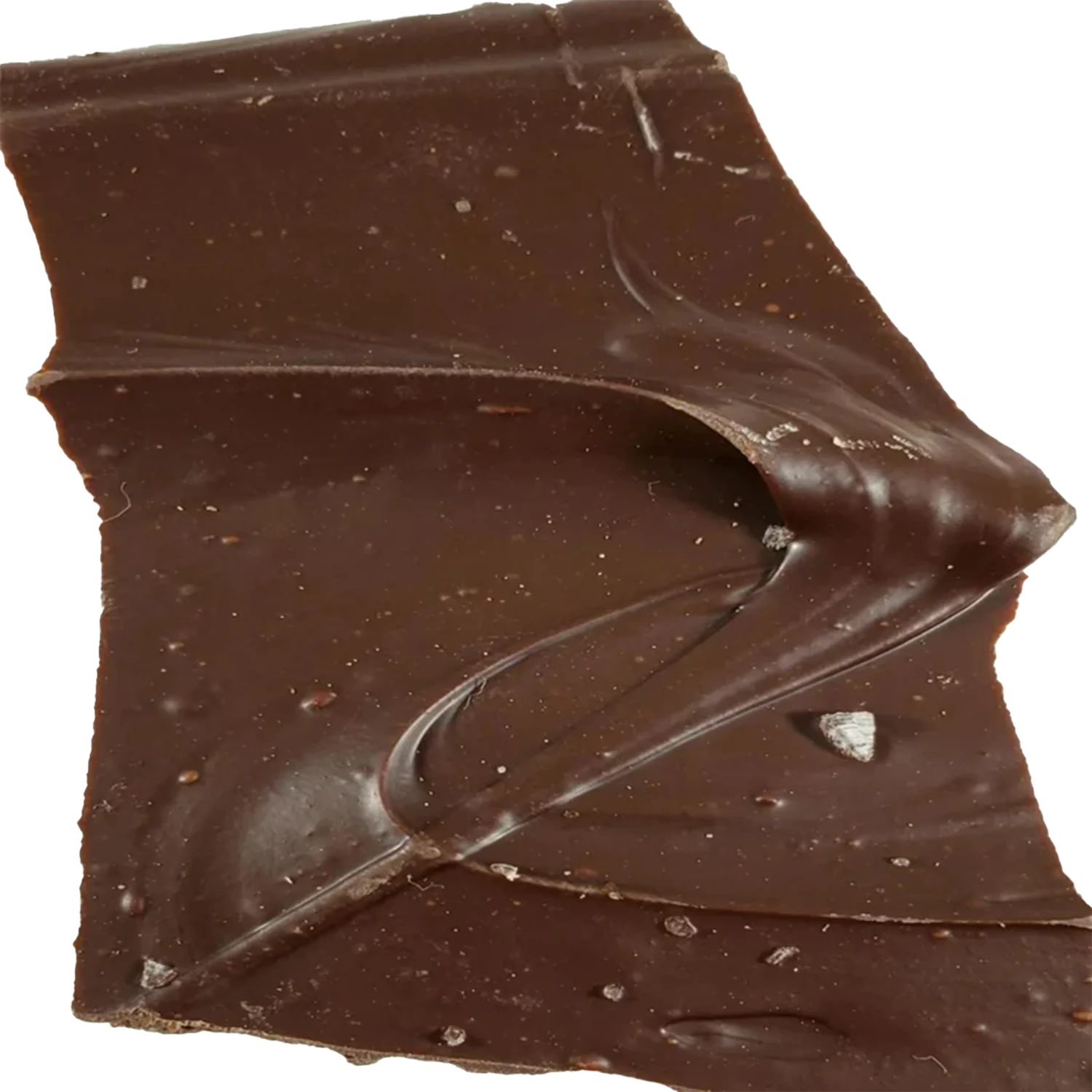Sea Salt Bark