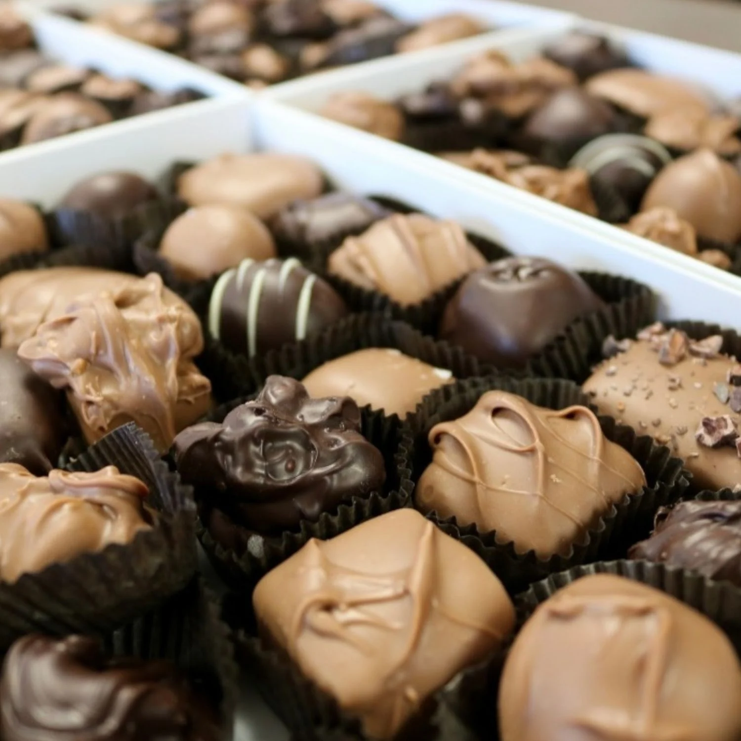 speciality chocolates